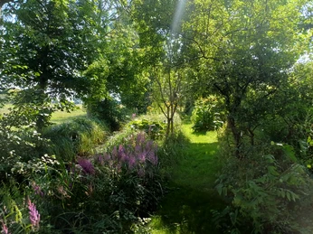 Mori-Garten Odisheim