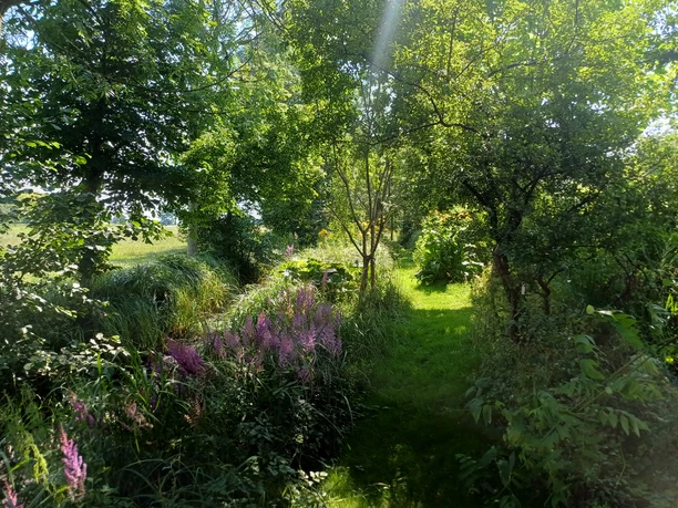 Mori-Garten Odisheim