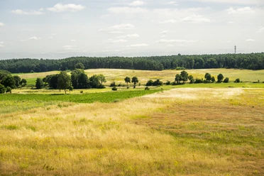 Landschaft der Göhrdeschlacht Landschaft der Göhrdeschlacht