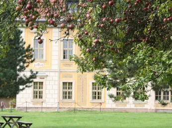 Jagdhaus Kössern - Gartenseite Das Bild zeigt einen Apfelbaum vor der gelben Fassade des barocken Jagdhauses.The picture shows an apple tree in front of the yellow façade of the baroque hunting château.Na snímku je jabloň před žlutou fasádou barokního loveckého zámečku.Zdjęcie przedstawia jabłoń przed żółtą fasadą barokowego domku myśliwskiego.Op de foto zie je een appelboom voor de gele gevel van het barokke jachtslot.L'immagine mostra un albero di mele davanti alla facciata gialla della casa di caccia barocca.
