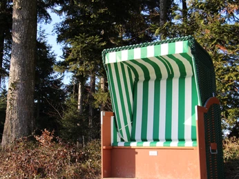 Strandkörbe über dem Nebelmeer Menzberg