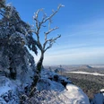 Aussicht vom Papststein Verschneite Landschaft mit Aussicht auf sanfte Hügel unter klarem, blauem Winterhimmel am Papststein.Snow-covered landscape with views of rolling hills under a clear, blue winter sky on the Papststein.Zasněžená krajina s výhledem na kopce pod jasnou modrou zimní oblohou na Papststeinu.Pokryty śniegiem krajobraz z widokiem na faliste wzgórza pod czystym, błękitnym zimowym niebem na Papststein.Besneeuwd landschap met uitzicht op glooiende heuvels onder een heldere, blauwe winterhemel op de Papststein.Paesaggio innevato con vista su dolci colline sotto un cielo invernale limpido e azzurro sul Papststein.