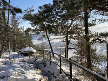 Aufstieg Papststein Blick nach Papstdorf Winterliche Landschaft auf dem Aufstieg zum Papststein, mit verschneitem Pfad und Ausblick auf Papstdorf.Winter landscape on the ascent to the Papststein, with snow-covered path and view of Papstdorf.Zimní krajina při výstupu na Papststein se zasněženou cestou a výhledem na Papstdorf.Zimowy krajobraz podczas wspinaczki na Papststein, z ośnieżoną ścieżką i widokiem na Papstdorf.Winterlandschap op de klim naar de Papststein, met besneeuwd pad en uitzicht op Papstdorf.Paesaggio invernale sulla salita al Papststein, con sentiero innevato e vista su Papstdorf.