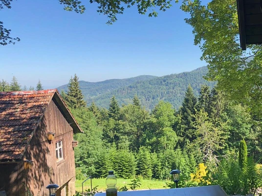 Ausblick vom Almpfadhüttle