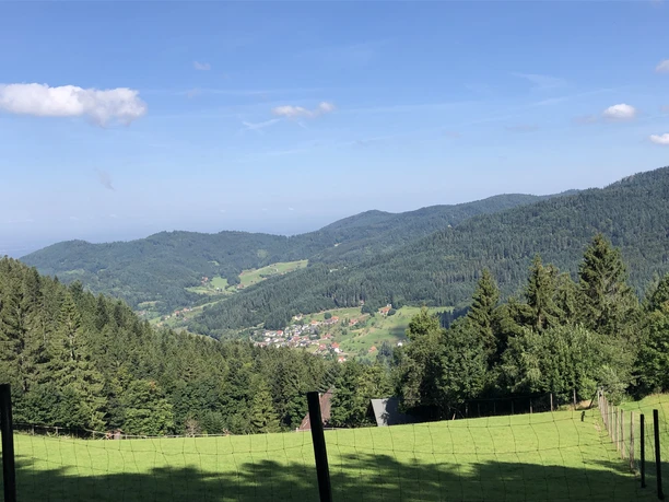 Ausblick vom Rotwildgehege