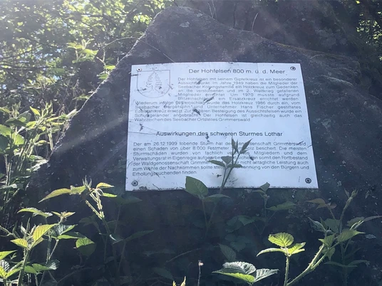 Infotafel Hohfelsen