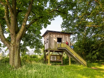 Aussichtturm Rieselfelder Windel Bielefeld-Senne Ein hölzerner Aussichtsturm auf Stelzen mit Treppe, umgeben von grüner Wiese und alten Bäumen.