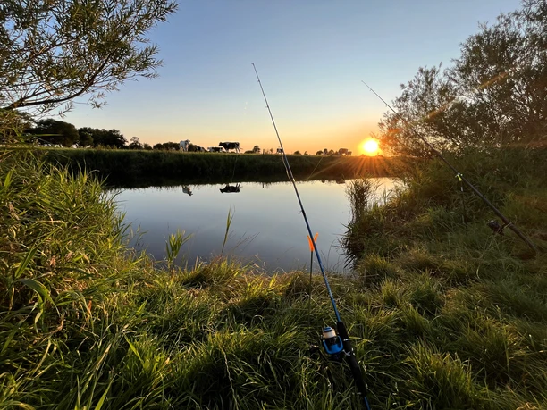 Angeln_in_der_Gemeinde_Rhauderfehn_IMG_3710.JPG Angeln am Flussufer bei Sonnenuntergang mit zwei Angelruten im Gras und ruhigem Wasser