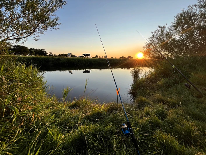 Angeln_in_der_Gemeinde_Rhauderfehn_IMG_3710.JPG Angeln am Flussufer bei Sonnenuntergang mit zwei Angelruten im Gras und ruhigem Wasser