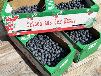 Heidelbeerhof Lutter - Ahlen-Falkenberg