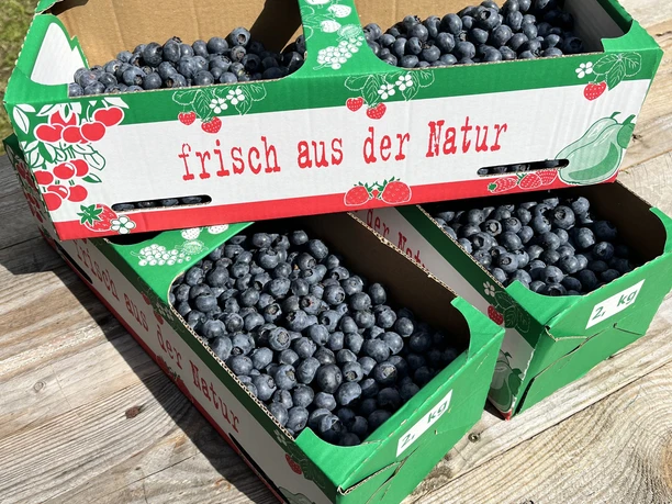 Heidelbeerhof Lutter - Ahlen-Falkenberg