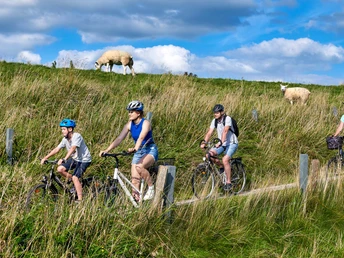 Radeln am Eider-Deich