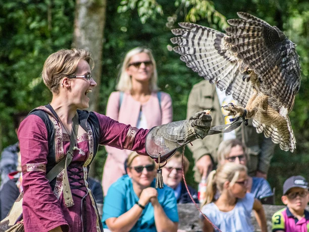 Flugschau in Gewandung_Stephanie Laarmann_mit Virginia Uhu Kopie.jpg