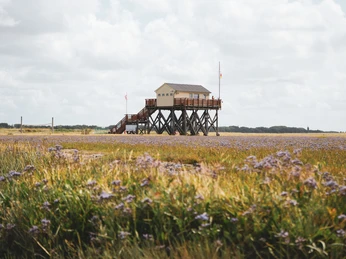 Südstrand_Pfahlbau_SPO_©TZ SPO