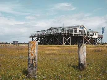 Pfahlbaurestaurant_LOTTI am Südstrand_©TZ SPO