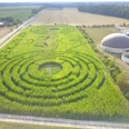 Hof_Becker_Maislabyrinth.jpg