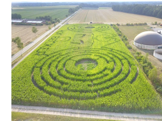 Hof_Becker_Maislabyrinth.jpg