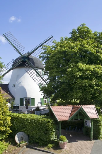 Weiße Windmühle mit schwarzen Flügeln, umgeben von Bäumen und einem gepflasterten Weg.