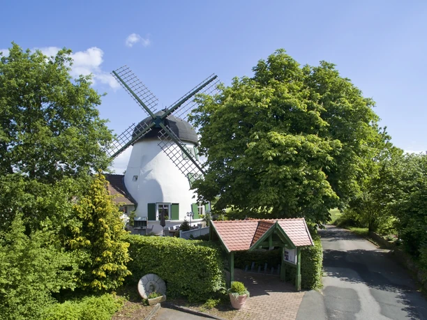 Fissenknick_ C Windmühle Fissenknick.jpg Weiße Windmühle mit schwarzen Flügeln, umgeben von Bäumen und einem gepflasterten Weg.