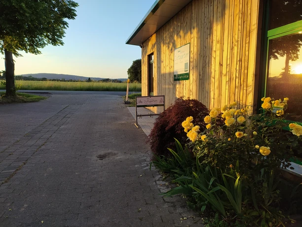 Bioland-Gärtnerei Duftgarten Blumen vor einer Holzwand, im Abendlicht. Links ein gepflasterter Weg, rechts gelbe Rosen.