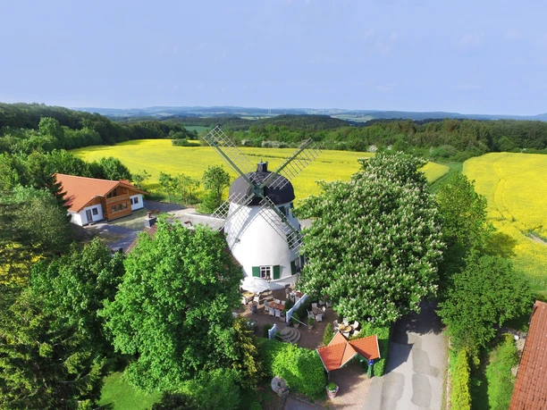 Windmühle umgeben von grünen Wäldern und weiten gelben Rapsfeldern unter einem klaren Himmel.