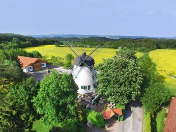 Bad Meinberg-Windmühle Fissenknick-Teutoburger Wald-LTM GmbH-Hendrik Lemke (1).jpg Windmühle umgeben von grünen Wäldern und weiten gelben Rapsfeldern unter einem klaren Himmel.