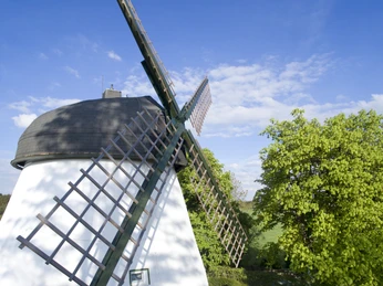 Bad Meinberg-Windmühle Fissenknick-Teutoburger Wald-LTM GmbH-Hendrik Lemke (5).jpg Historische Windmühle mit hölzernen Flügeln, umgeben von grünen Bäumen und blauem Himmel.