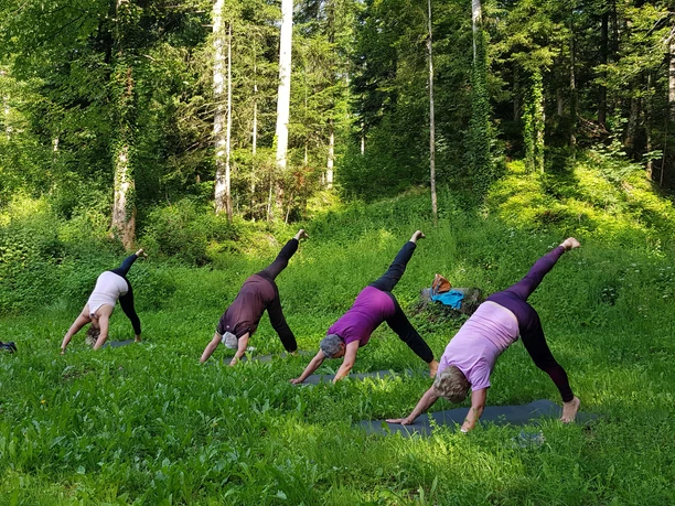 Laveda Yoga Willisau