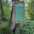 Trimm-Dich-Pfad <p>Holzschild im Wald markiert den Start eines Trimm-Parcours mit grüner Infotafel.</p>