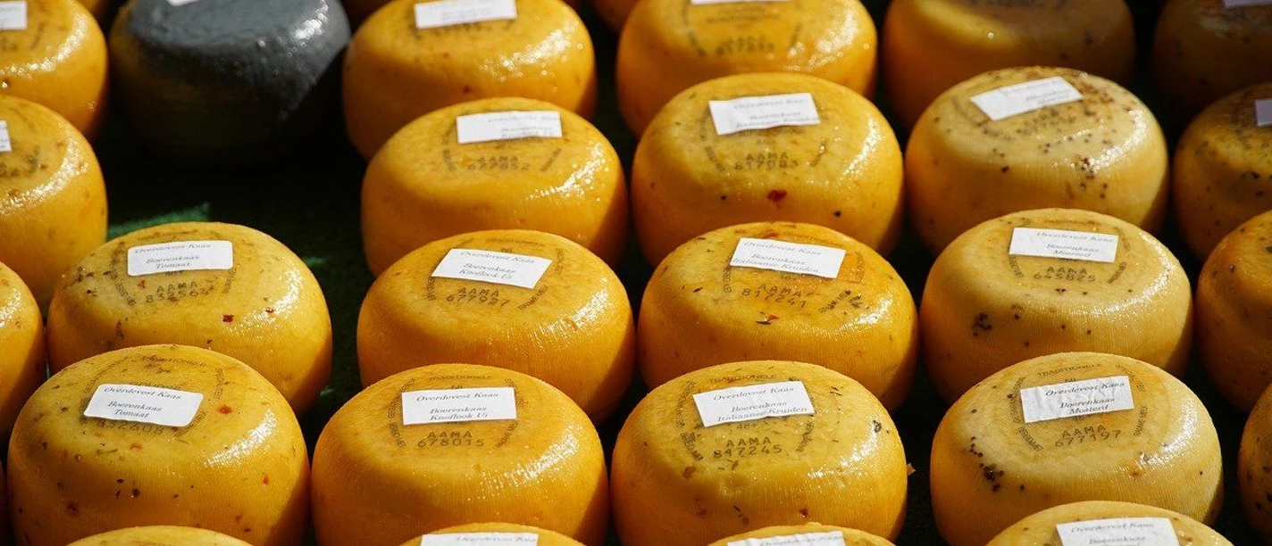 Viele kleinere, gelbe Käselaibe mit Etiketten nebeneinander.