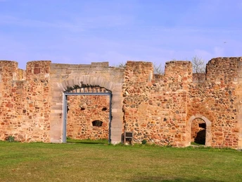 Klosterruine Kartause