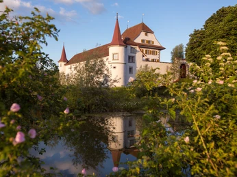 Schloss Wyher Ettiswil