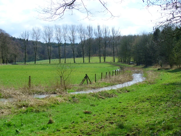 Sanft schlängelnder Bach in einer grünen Wiesenlandschaft, umgeben von Bäumen und offenen Feldern.