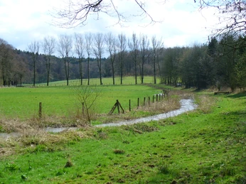 Fliessender_Ellerbach Sanft schlängelnder Bach in einer grünen Wiesenlandschaft, umgeben von Bäumen und offenen Feldern.