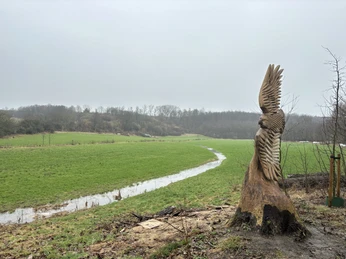 Ein hölzerner Adler thront am Ufer eines kleinen Bachs, umgeben von einer grünen Wiese.