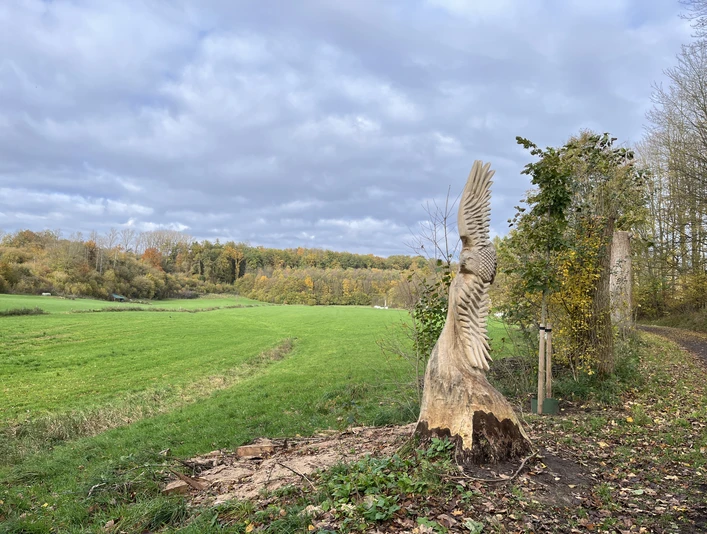 Kunstvoll geschnitzte Statue eines Uhus aus Holz, umgeben von einer weitläufigen grünen Wiese.