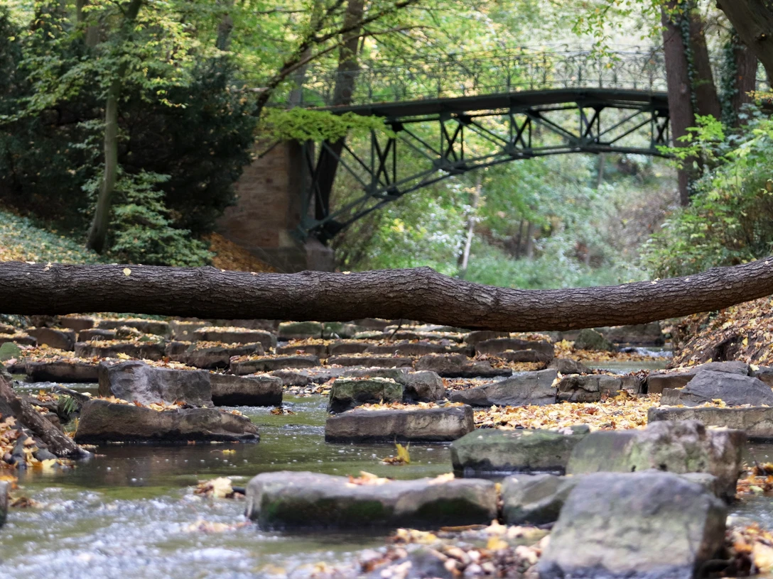Das Bild zeigt das Mindener Glacis und die Bastau