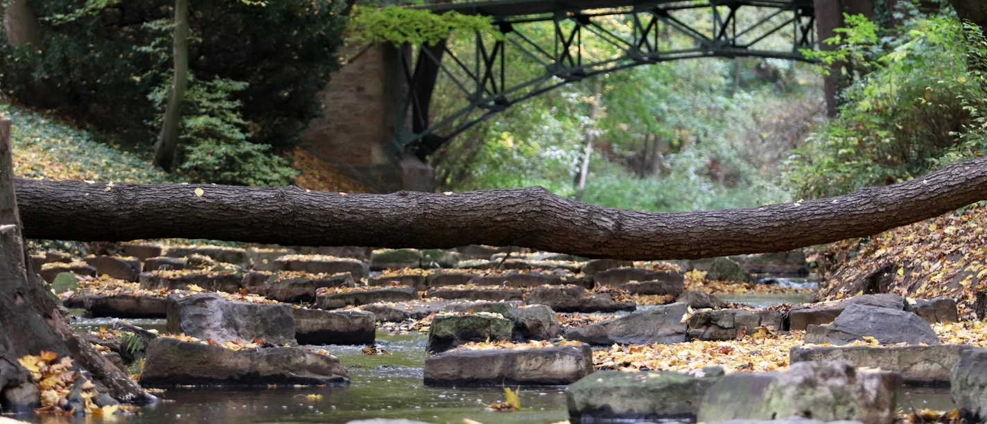 Das Bild zeigt das Mindener Glacis und die Bastau