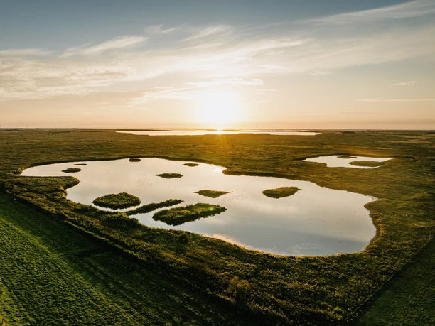 Nordfriesland_Hattstedtermarsch_MR_230814_445 Landschaft