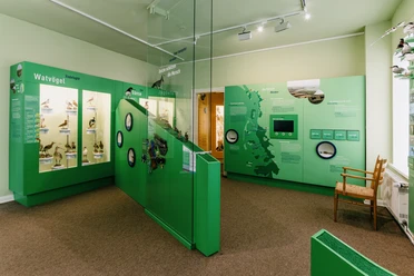 Nordfriesland_Niebüll_MR_230815_524 Naturkundemuseum Niebüll
