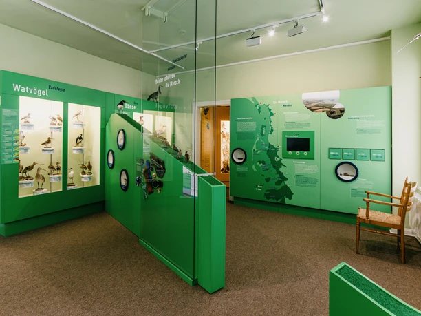 Nordfriesland_Niebüll_MR_230815_524 Naturkundemuseum Niebüll