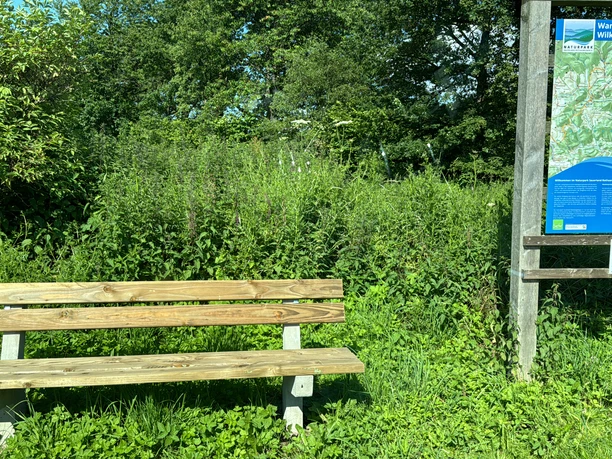 20240624 Wanderparkplatz Wilkenberg (3).jpeg
