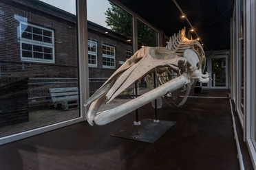 Nationaal Park Huis op Juist