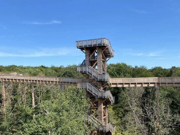 Baumwipfelweg Bad Camberg Ein Turm des Baumwipfelwegs ragt zwischen den Bäumen empor