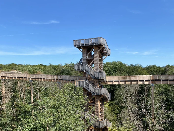Baumwipfelweg Bad Camberg