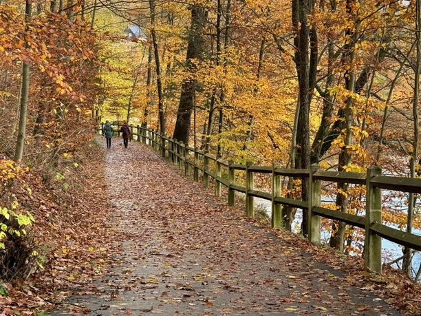 20231115_Fürwigge (11).jpg