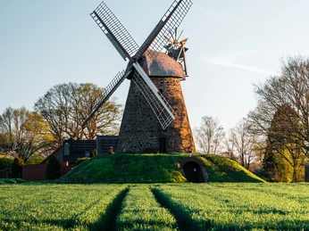 Historische Windmühle mit vier Flügeln, umgeben von grünen Feldern und Bäumen in Nordhemmern.