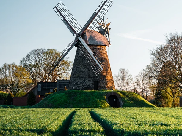 Greftmühle Nordhemmern Historische Windmühle mit vier Flügeln, umgeben von grünen Feldern und Bäumen in Nordhemmern.