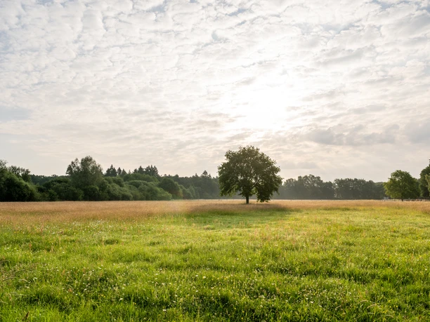 Naturschutzgebiet Rieselfelder Windel