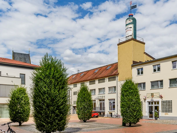Drei hohe, grüne Büsche stehen auf einem gepflasterten Platz vor einem beige-gelben Gebäude mit Turm.